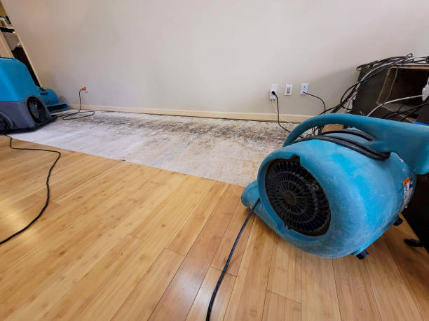 Professional Basement Flood Cleanup technician working in Fair Oaks, GA